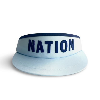 3D Lt.Blue Staff Tour Visor